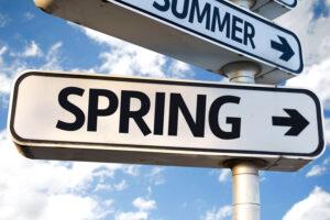 Blog - Spring Blossom: Preparing Your Body for the Season with Natural Therapies